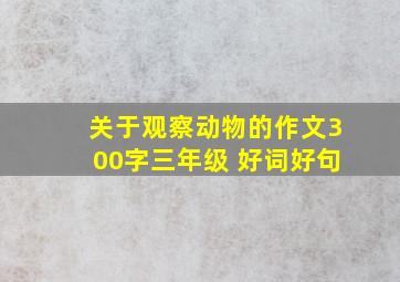 关于观察动物的作文300字三年级 好词好句